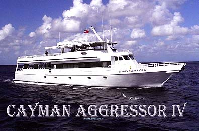 Cayman Aggressor IV