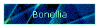 Bonellia