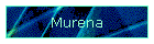 Murena