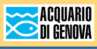 Visita il sito dell'Acquario di Genova