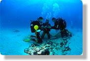 Partecipanti allo Scuba Review in immersione