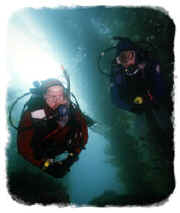 Divers swimming through deep water