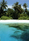 Spiaggia  alle Maldive